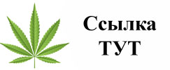 Купить наркотики в Солнечногорске